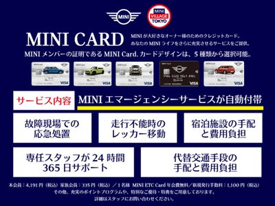 صورة 122 لـ 2024 MINI COOPER ACE MAN