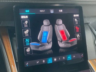 2025 Cadillac ESCALADE — миниатюра 83
