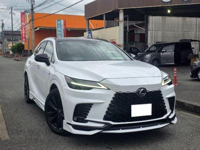 2023 Lexus RX photo 3