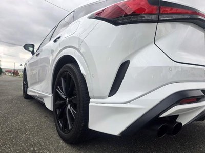 2023 Lexus RX photo 12