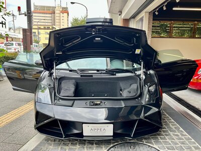 2013 Lamborghini GALLARDO 缩略图 17