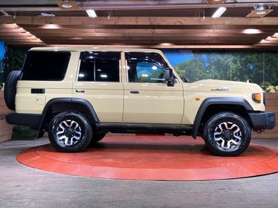 2025 Toyota LAND CRUISER 70 thumbnail 24