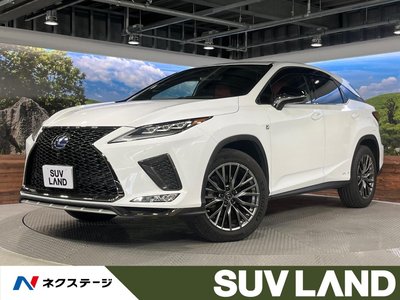 2020 Lexus RX photo 1