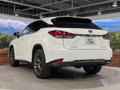 2020 Lexus RX thumbnail 24
