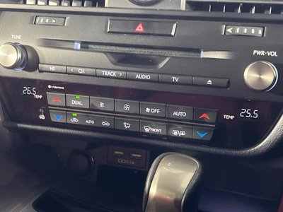 2020 Lexus RX thumbnail 51