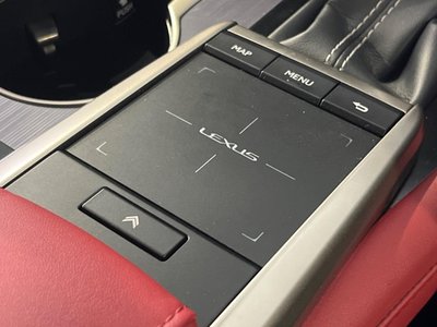 2020 Lexus RX thumbnail 59