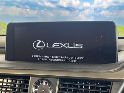 2020 Lexus RX photo 5