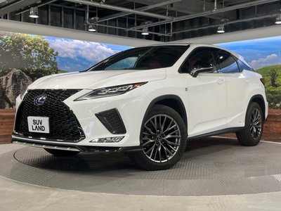 2020 Lexus RX thumbnail 22
