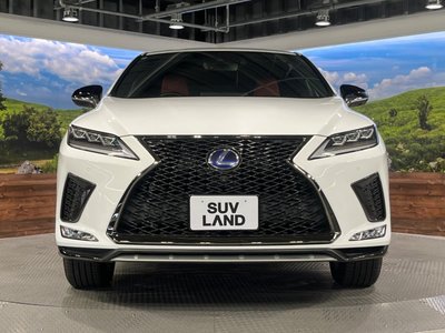 2020 Lexus RX photo 15