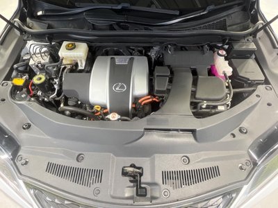2020 Lexus RX thumbnail 19