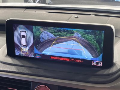 2020 Lexus RX photo 6