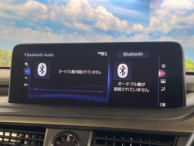 2020 Lexus RX thumbnail 53