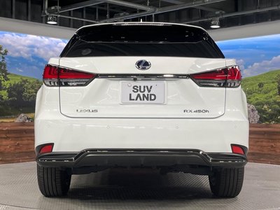 2020 Lexus RX photo 16
