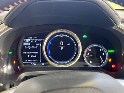 2020 Lexus RX thumbnail 63