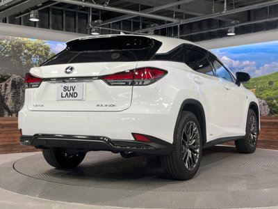 2020 Lexus RX thumbnail 18