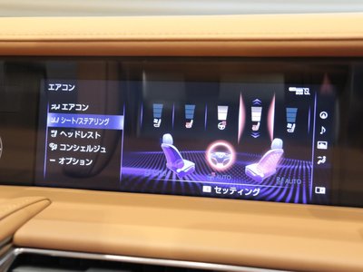 2023 Lexus LC CONVERTIBLE thumbnail 36