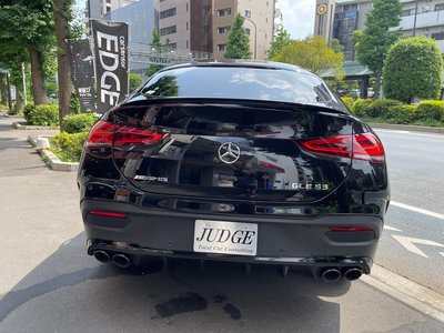 2021 Mercedes-BENZ GLE AMG photo 10
