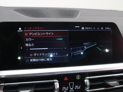 2022 BMW Alpina B3 照片 34