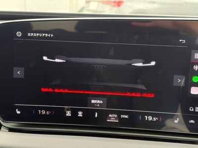 صورة 24 لـ 2025 AUDI A6 AVANT E-TRON