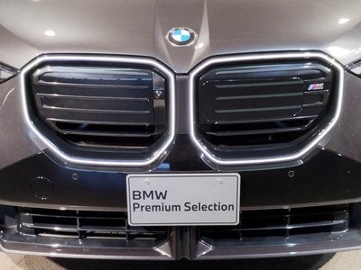 2026 BMW X3 thumbnail 60