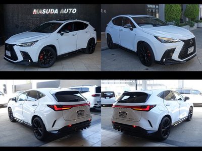 2023 Lexus NX — миниатюра 20