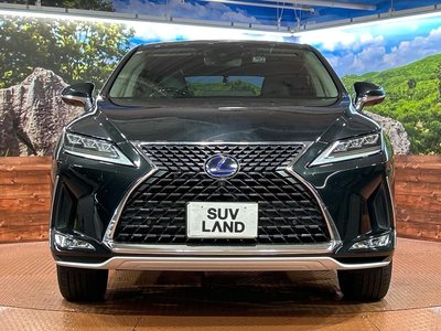2021 Lexus RX 照片 14