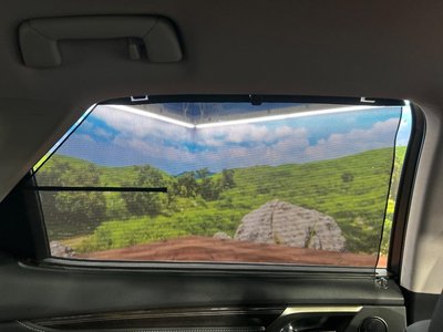 2021 Lexus RX 照片 48