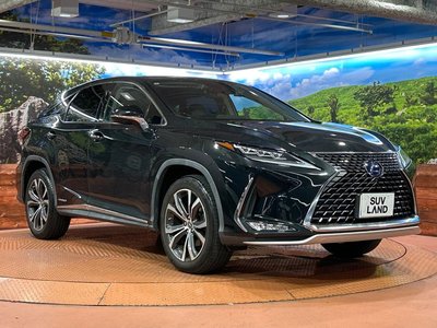2021 Lexus RX 照片 16