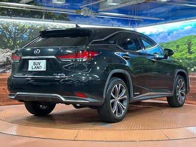 2021 Lexus RX 照片 17