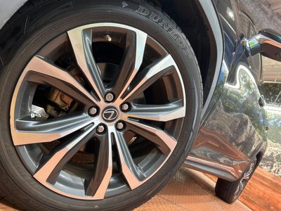 2021 Lexus RX 照片 13