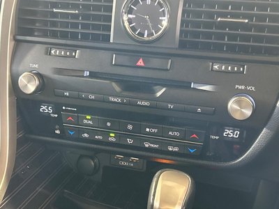 2021 Lexus RX 照片 24