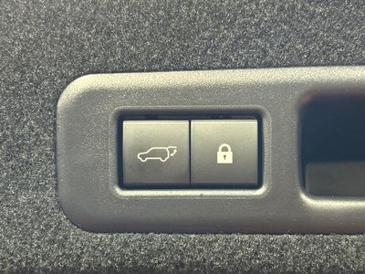 2021 Lexus RX 照片 51