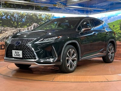 2021 Lexus RX 照片 52