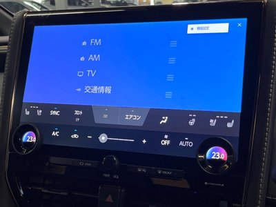 2024 Toyota ALPHARD 照片 46