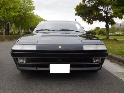 صورة 4 لـ 1986 Ferrari 412