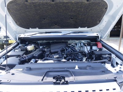 2024 Toyota LAND CRUISER 250 照片 26