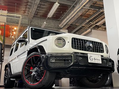 2019 Mercedes-BENZ G-CLASS thumbnail 55