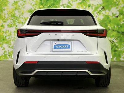 2023 Lexus NX photo 45