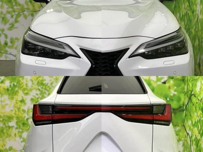 2023 Lexus NX photo 53
