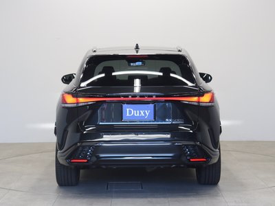 2025 Lexus RX photo 10