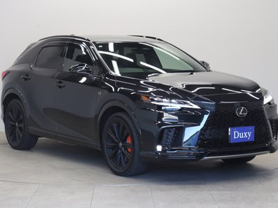 2025 Lexus RX photo 16