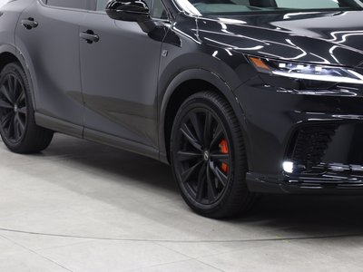 2025 Lexus RX thumbnail 22