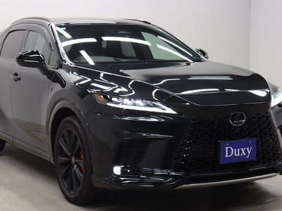 2025 Lexus RX thumbnail 17