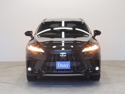 2025 Lexus RX photo 13