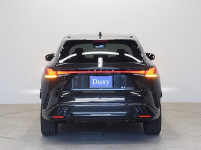 2025 Lexus RX photo 14
