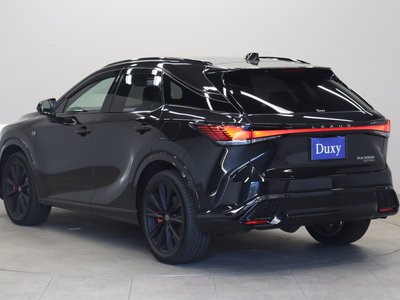 2025 Lexus RX thumbnail 34