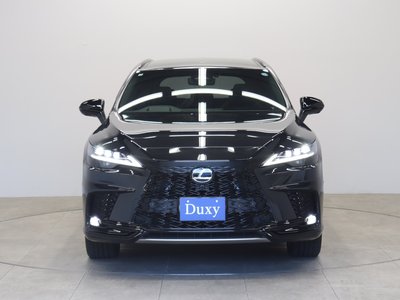 2025 Lexus RX photo 9