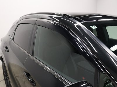 2025 Lexus RX thumbnail 30