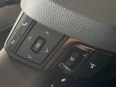2025 Toyota ALPHARD — фото 41