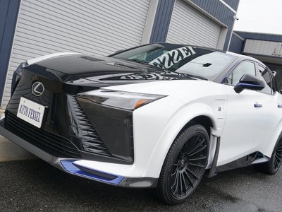 2024 Lexus RZ — фото 11